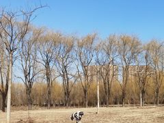 -东坝千亩湖公园
