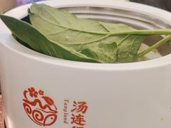 -汤连得温泉馆(宝山店)