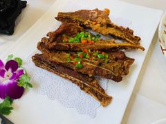 -黄埔华苑酒家(黄埔总店)