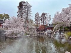 -东湖磨山景区