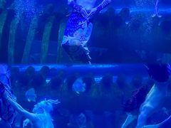 -西安曲江海洋极地公园
