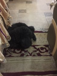 -杉惠素颜美妆皮肤管理中心