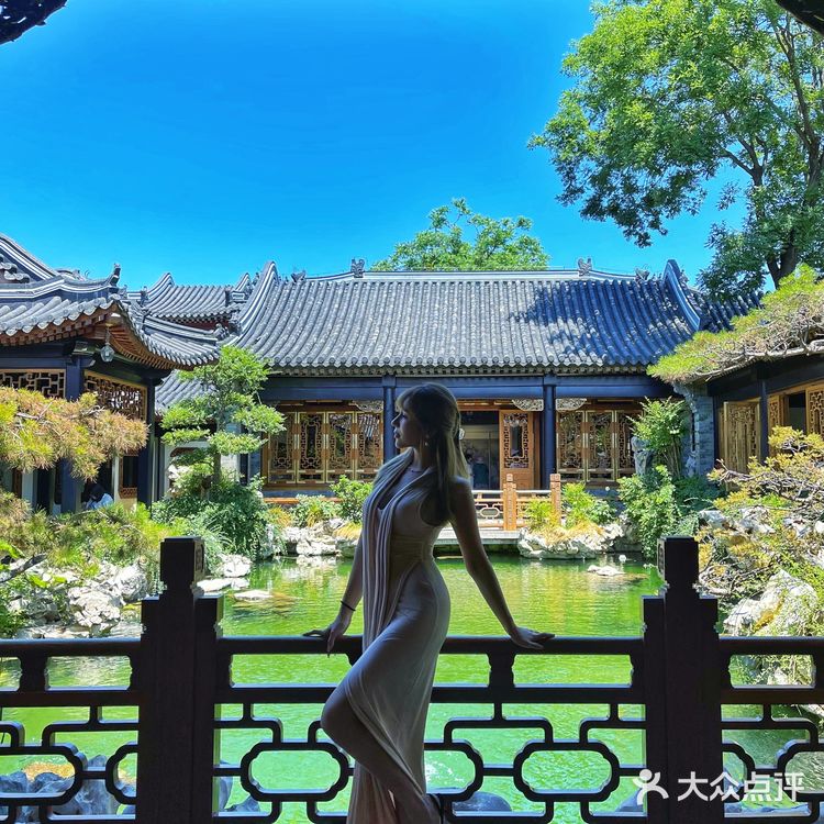 藏在巷中的碧绿池水