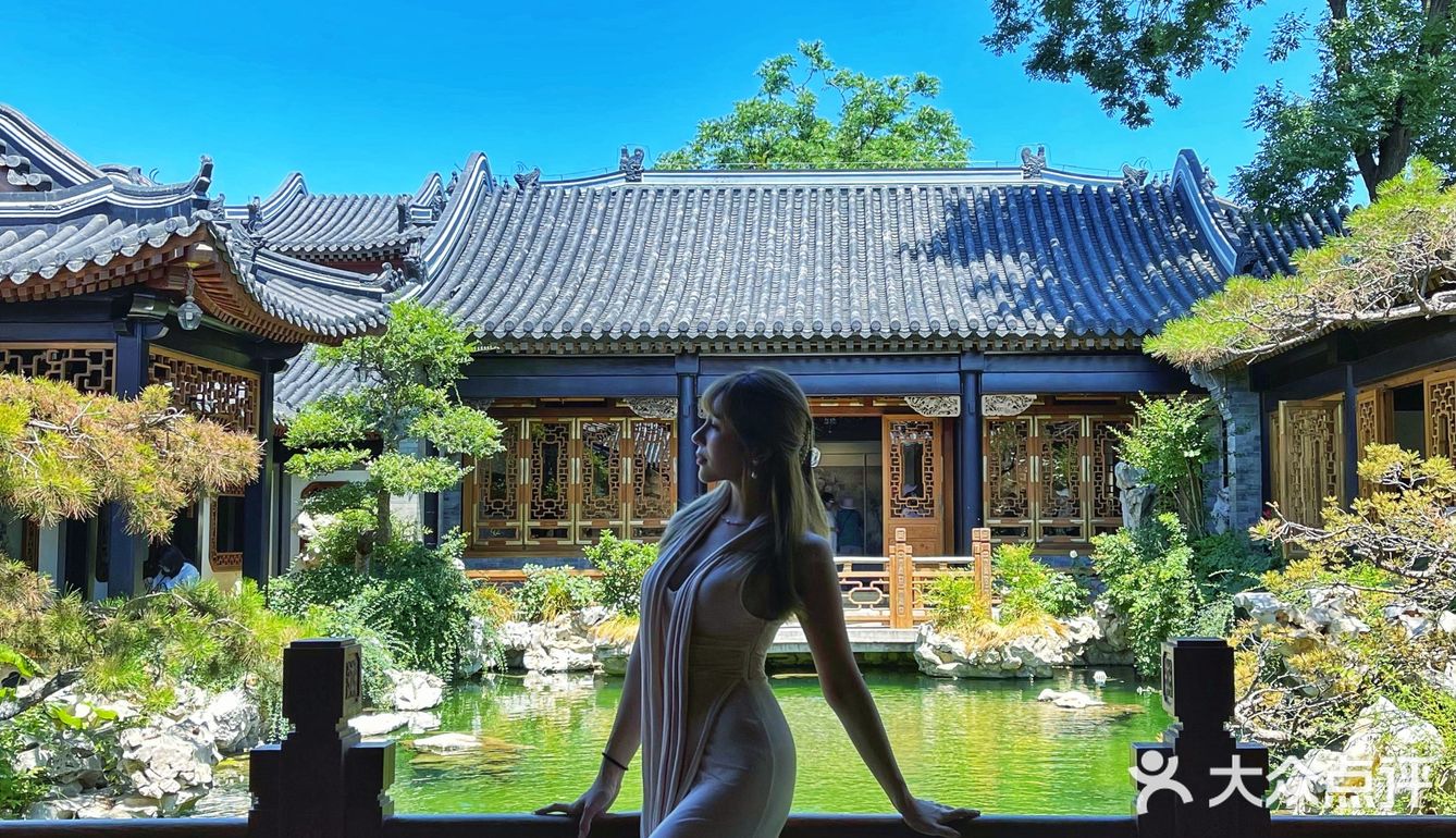 藏在巷中的碧绿池水