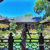 藏在巷中的碧绿池水