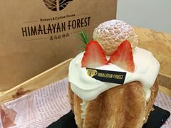 -喜马拉雅森HIMALAYAN FOREST