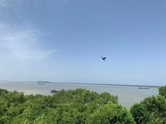 -湖南东洞庭湖国家级自然保护区