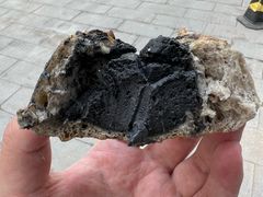 -熊叔熊婶面包房(团结湖店)