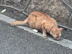 -云龙山