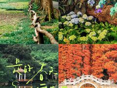 -中国科学院华南植物园