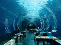-海棠湾洲际-涛·海底餐厅·美人鱼·自助餐·海底隧道