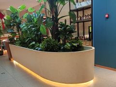 -悦海·家宴·冰花皮皮虾大锅贴(宝龙店)