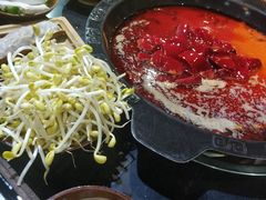 -麻大侠老火锅(巴国城店)