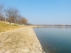 -羊山湖公园