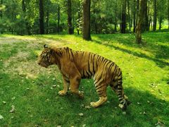 -北京野生动物园