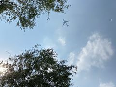 -东郊湿地公园