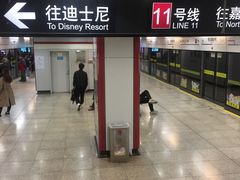 -桃浦新村(地铁站)