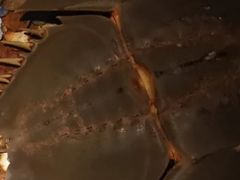 -大连圣亚海洋世界