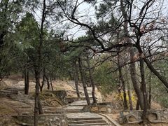 -北京鹫峰国家森林公园