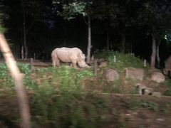 -清迈夜间动物园