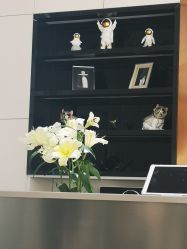 -NICE SALON 奈丝造型