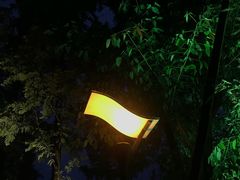 -成飞公园