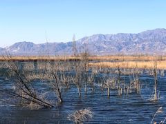 -野鸭湖国家湿地公园