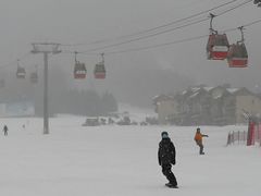 -亚布力新体委滑雪场