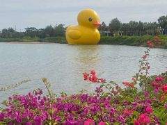 -深圳人才公园
