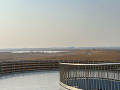 -盐城丹顶鹤湿地生态旅游区