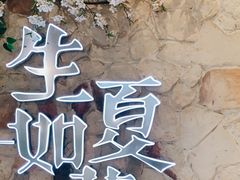 -生如夏花泰式火锅(鹭洲里店)