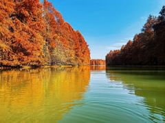 -上海海湾国家森林公园