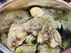 -爱蚝屋