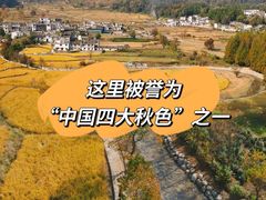-塔川景区
