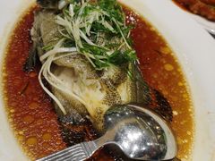 清蒸大龙趸-稻香酒家(天河城店)