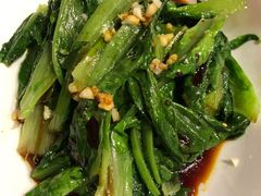 -看见远方·莫干遥远的山民宿