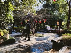 -张家港金凤凰度假村温泉