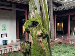 -太平天国侍王府