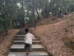 -杭州半山国家森林公园