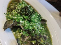 -鞍山大白鲨美食酒店