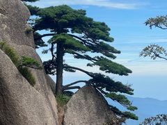 -黄山风景区