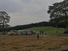 -迪茵湖田家舍生态农场
