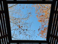 -春晖园度假酒店温泉