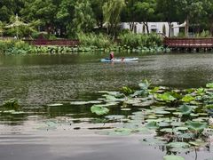 -新江湾城公园
