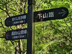 -阳台山自然风景区