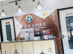 -美联众合宠物医院·爱萌分院·内外科·猫科中心