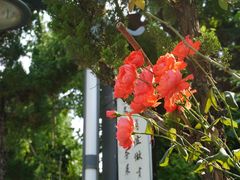 -西安关中民俗艺术博物院