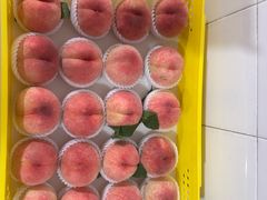 -老袁家蜜桃农场·阳山水蜜桃