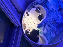 -天玑高空江景餐厅&酒吧Sky Secret Restaurant&Bar