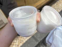 -洪馨椰子